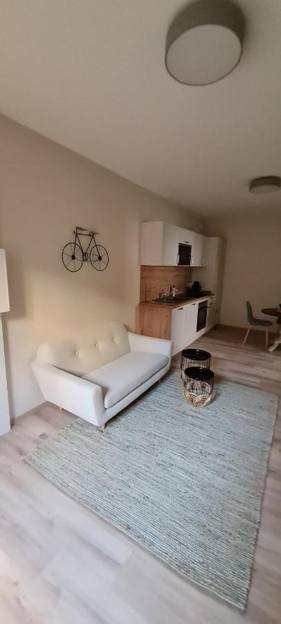 Les Coursives Appartements Mâcon Zewnętrze zdjęcie